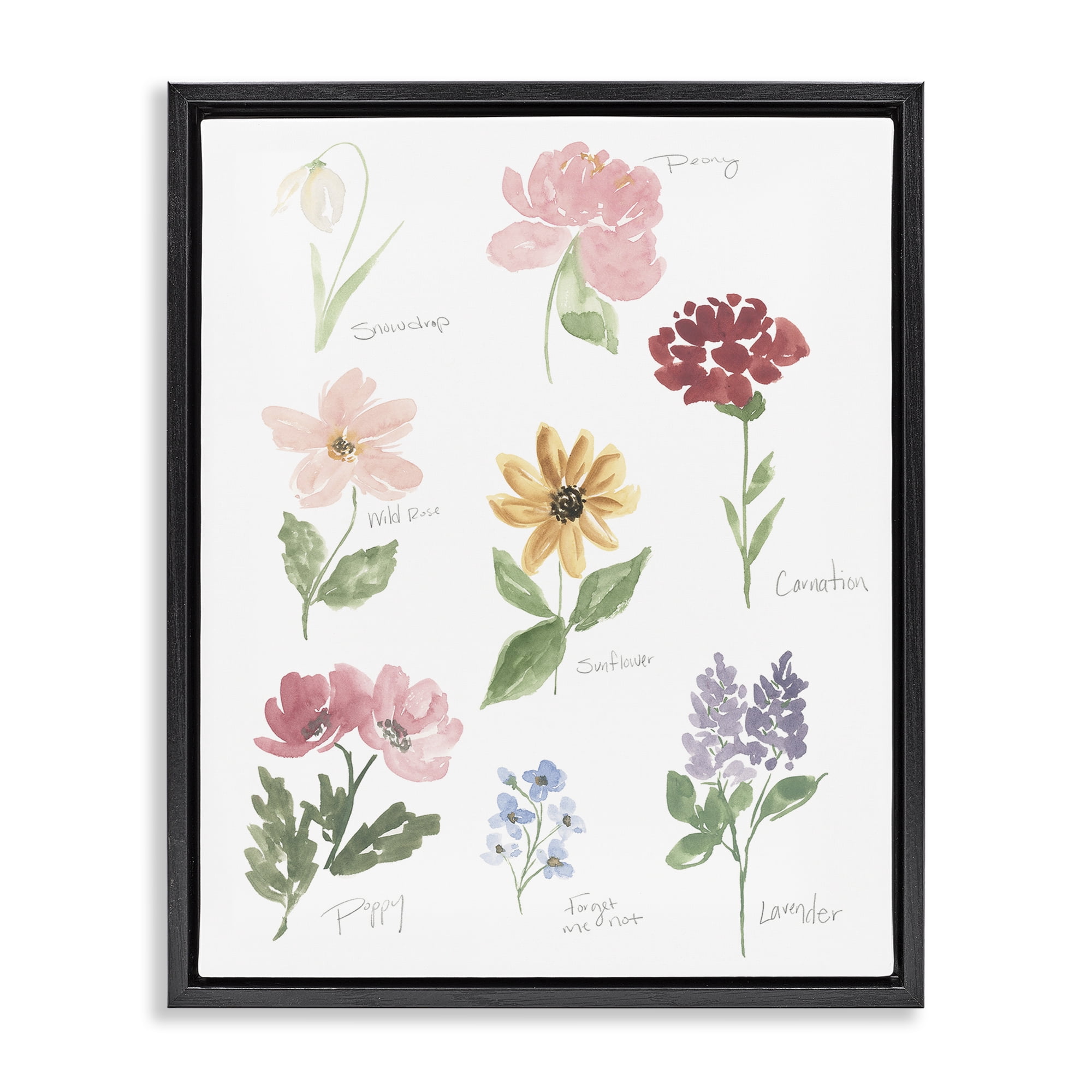 Stupell Industries Labeled Flower Varieties Black Framed Floater Canvas Wall Art, design by Lucille Price