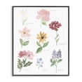 thumbnail image 1 of Stupell Industries Bohemian Labeled Flower Varieties Black Framed Giclee Art, 24 x 30, by Lucille Price, 1 of 8