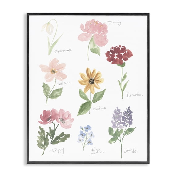 Stupell Industries Bohemian Labeled Flower Varieties Black Framed Giclee Art, 24 x 30, by Lucille Price