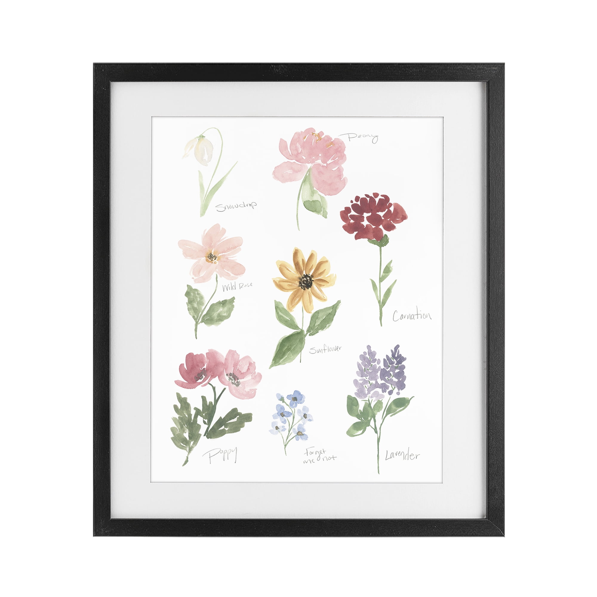 Stupell Industries Labeled Flower Varieties Black Framed Print Under Glass, design by Lucille Price