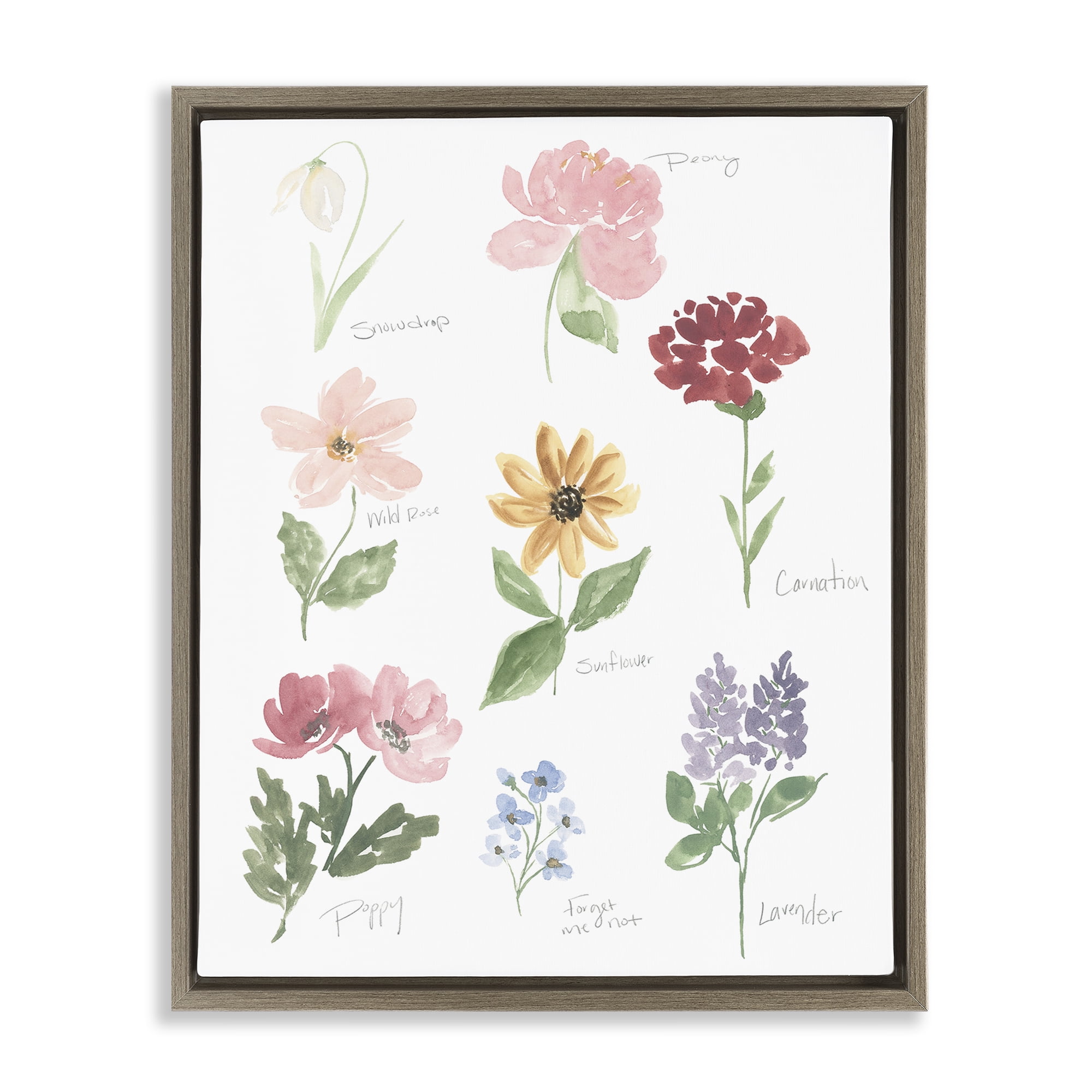Stupell Industries Labeled Flower Varieties Brown Framed Floater Canvas Wall Art, design by Lucille Price