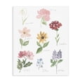 thumbnail image 1 of Stupell Industries Bohemian Labeled Flower Varieties Canvas Art, 24 x 30, by Lucille Price, 1 of 8