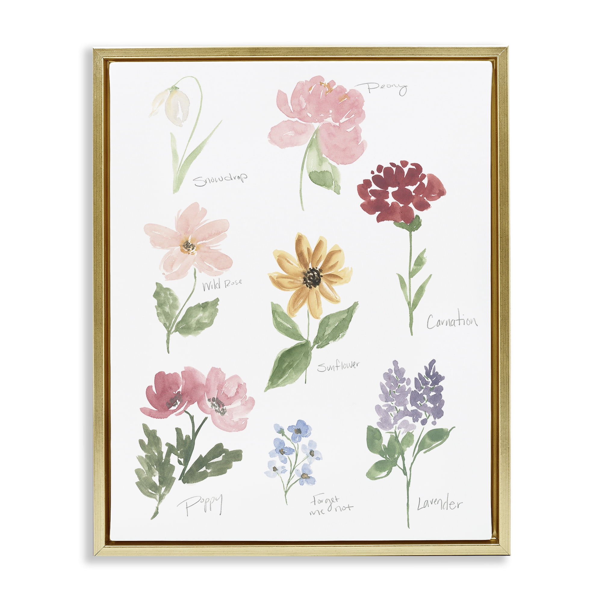 Stupell Industries Labeled Flower Varieties Gold Framed Floater Canvas Wall Art, design by Lucille Price