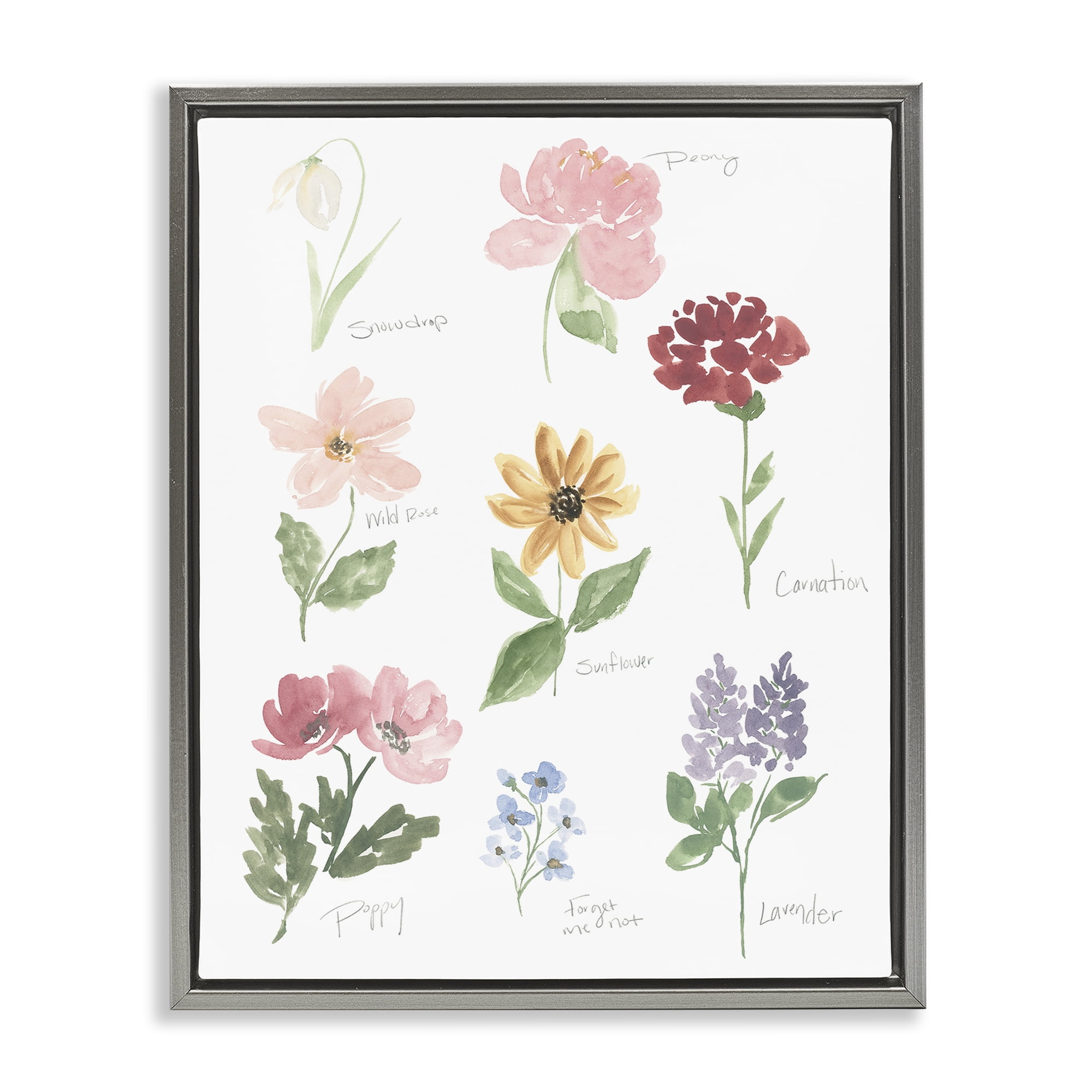 Stupell Industries Labeled Flower Varieties Gray Framed Floater Canvas Wall Art, design by Lucille Price