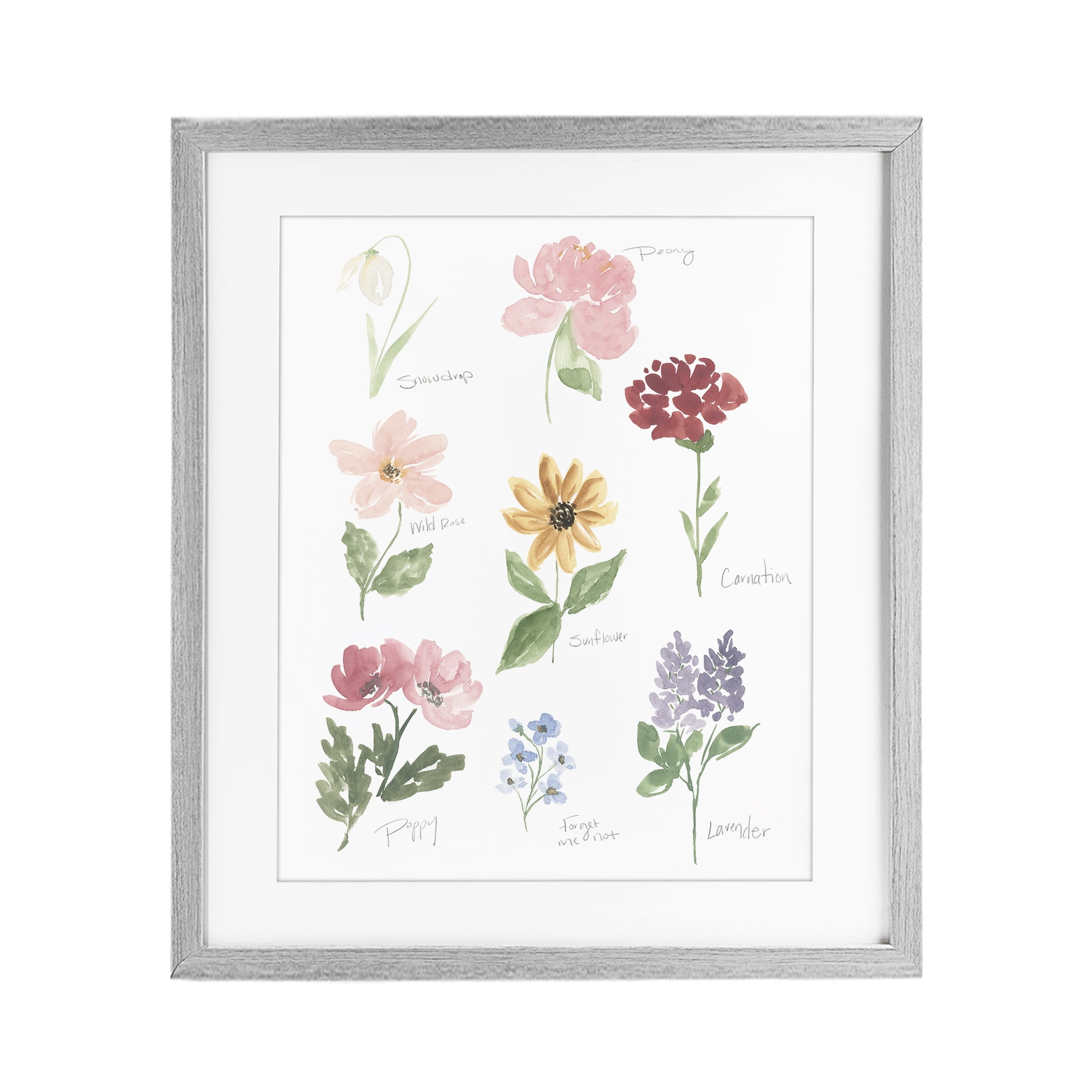 Stupell Industries Labeled Flower Varieties Gray Framed Print Under Glass, design by Lucille Price