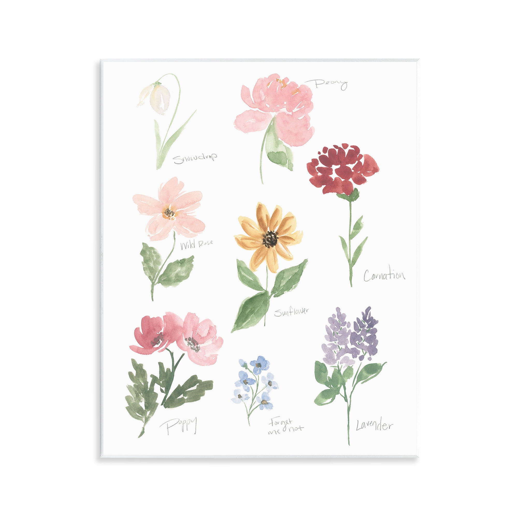 Stupell Industries Labeled Flower Varieties Wall Plaque Art, design by Lucille Price