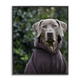 thumbnail image 1 of Stupell Industries Contemporary Labrador Dog Wearing Sweatshirt Hoodie Detailed Photography Black Framed Giclee Art, 11 x 14, by Michael Brian, 1 of 7