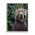 thumbnail image 1 of Stupell Industries Labrador Dog Wearing Sweatshirt Hoodie Detailed Photography Photograph Gray Framed Art Print Wall Art, Design by Michael Brian, 1 of 7