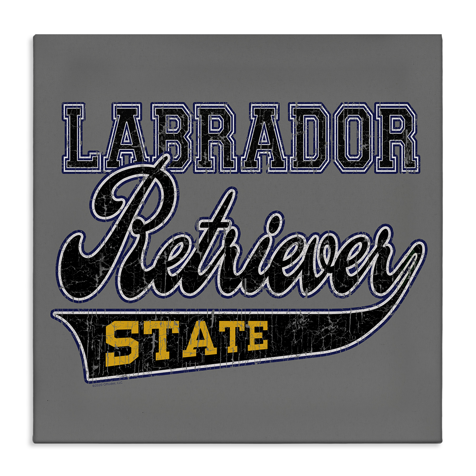 Stupell Industries Labrador Retriever State Novelty & Humor Painting Wrapped Canvas Art Print Wall Art, 17 x 17