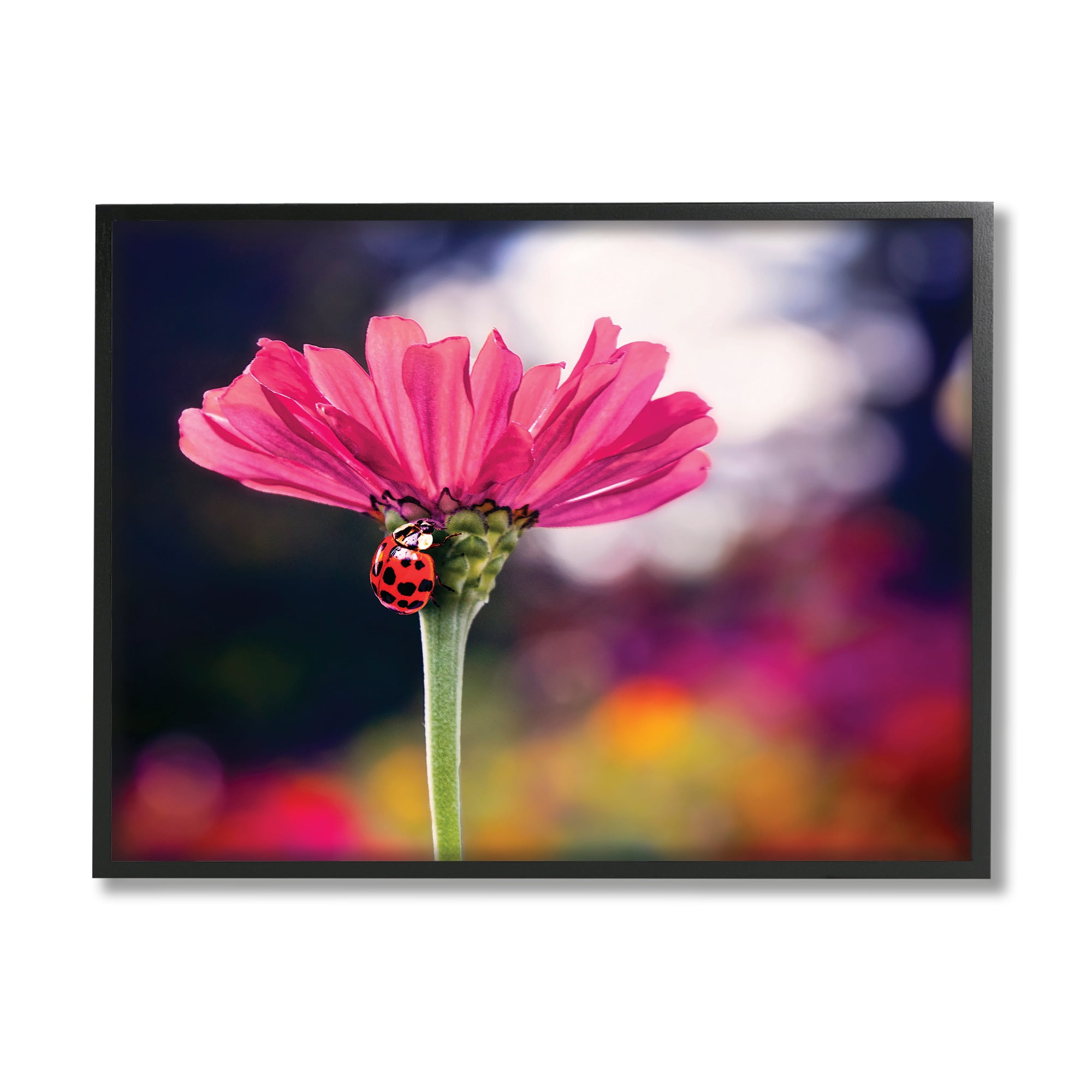 Stupell Industries Ladybug with Pink Flower Animals & Insects Photography Black Framed Art Print Wall Art, 14 x 11