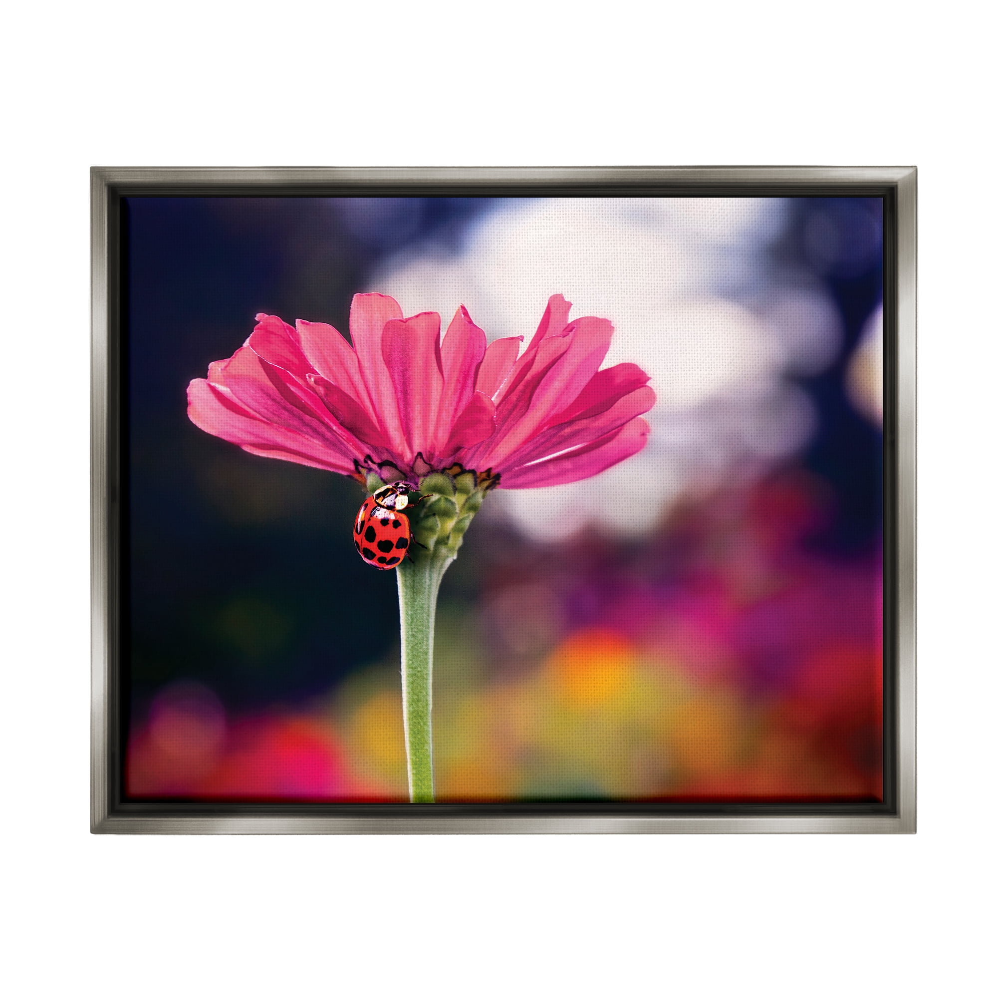 Stupell Industries Ladybug with Pink Flower Animals & Insects Photography Gray Floater Framed Art Print Wall Art, 21 x 17