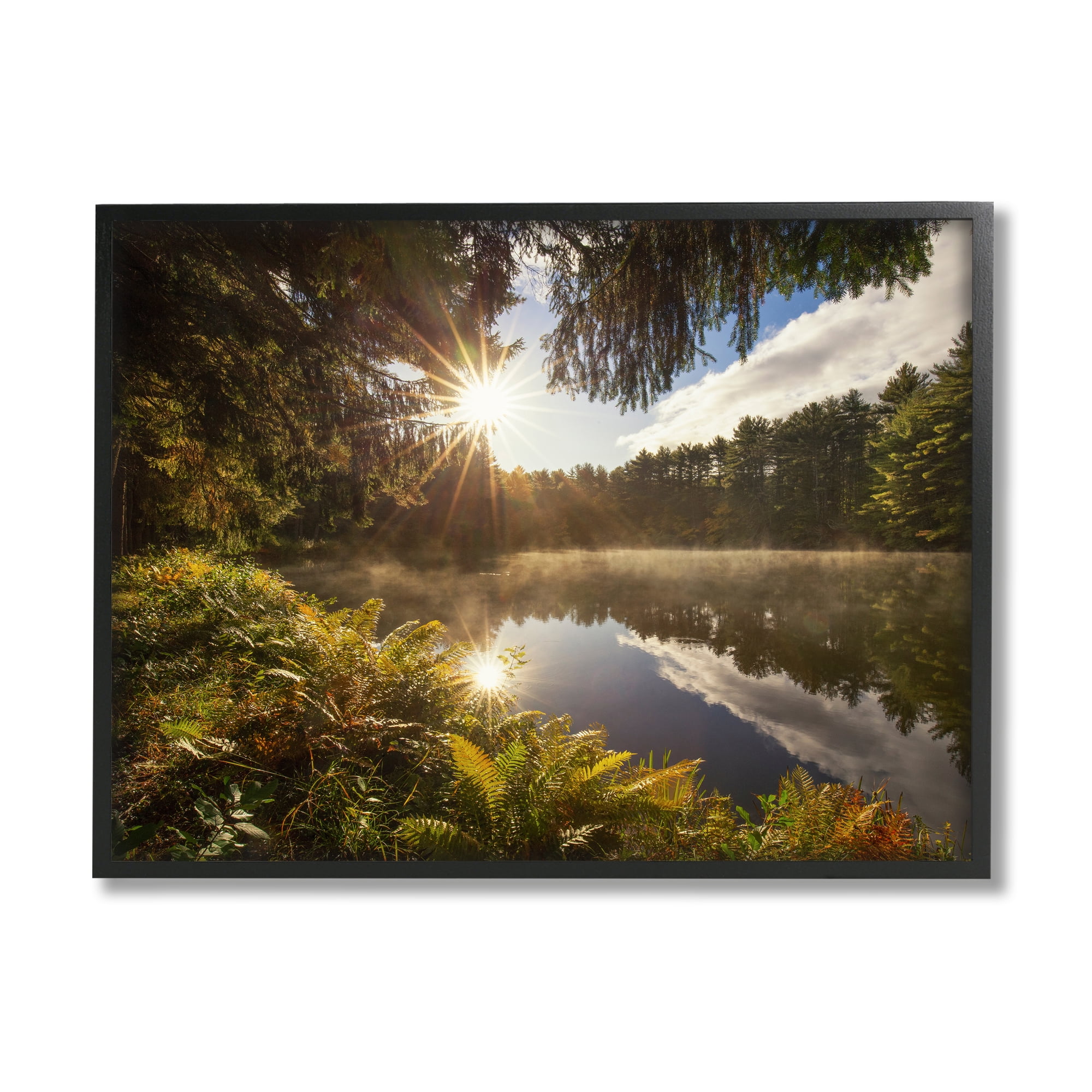 Stupell Industries Lake Nature Landscape Nature Photography Black Framed Art Print Wall Art, 20 x 16