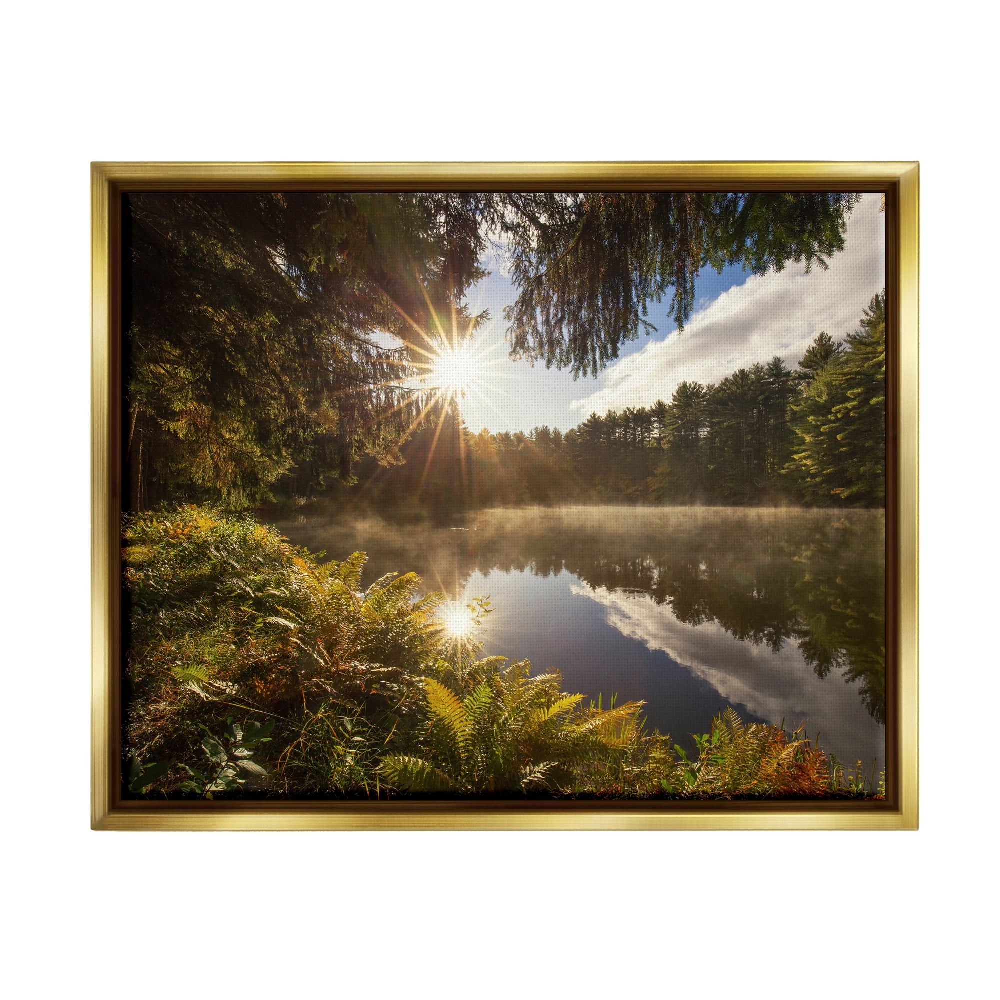 Stupell Industries Lake Nature Landscape Nature Photography Gold Floater Framed Art Print Wall Art, 31 x 25