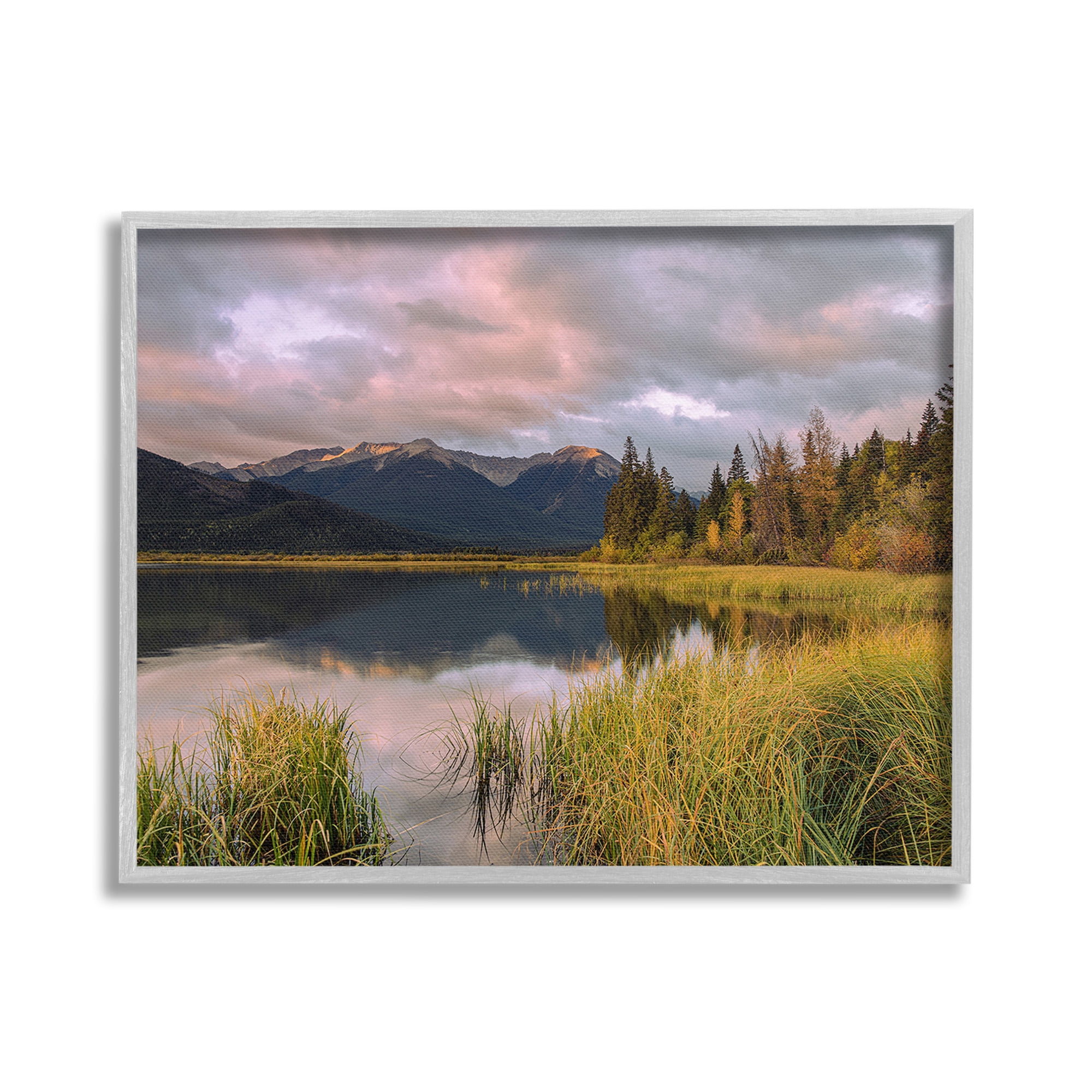 Stupell Industries Lake's Edge Landscape Landscape Photography Gray Framed Art Print Wall Art, 20 x 16