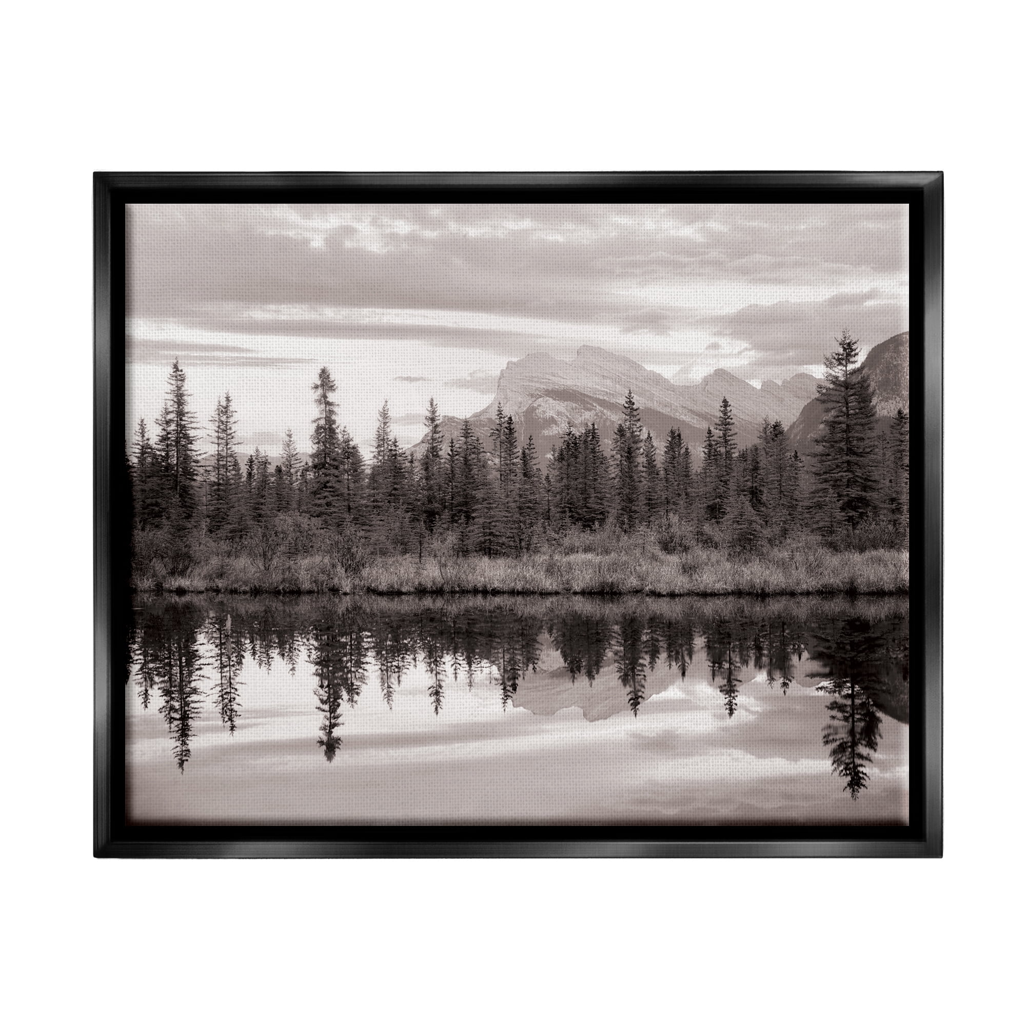 Stupell Industries Lakeside Woodland Landscape Nature Photography Black Floater Framed Art Print Wall Art, 21 x 17