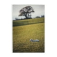 thumbnail image 1 of Stupell Industries Lamb in Lush Farmland Landscape & Nature Photography Unframed Art Print Wall Art, 10 x 15, 1 of 8