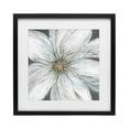 thumbnail image 1 of Stupell Industries Transitional Large White Flower Closeup Black Framed Print Under Glass, 13 x 13, by Carol Robinson, 1 of 8
