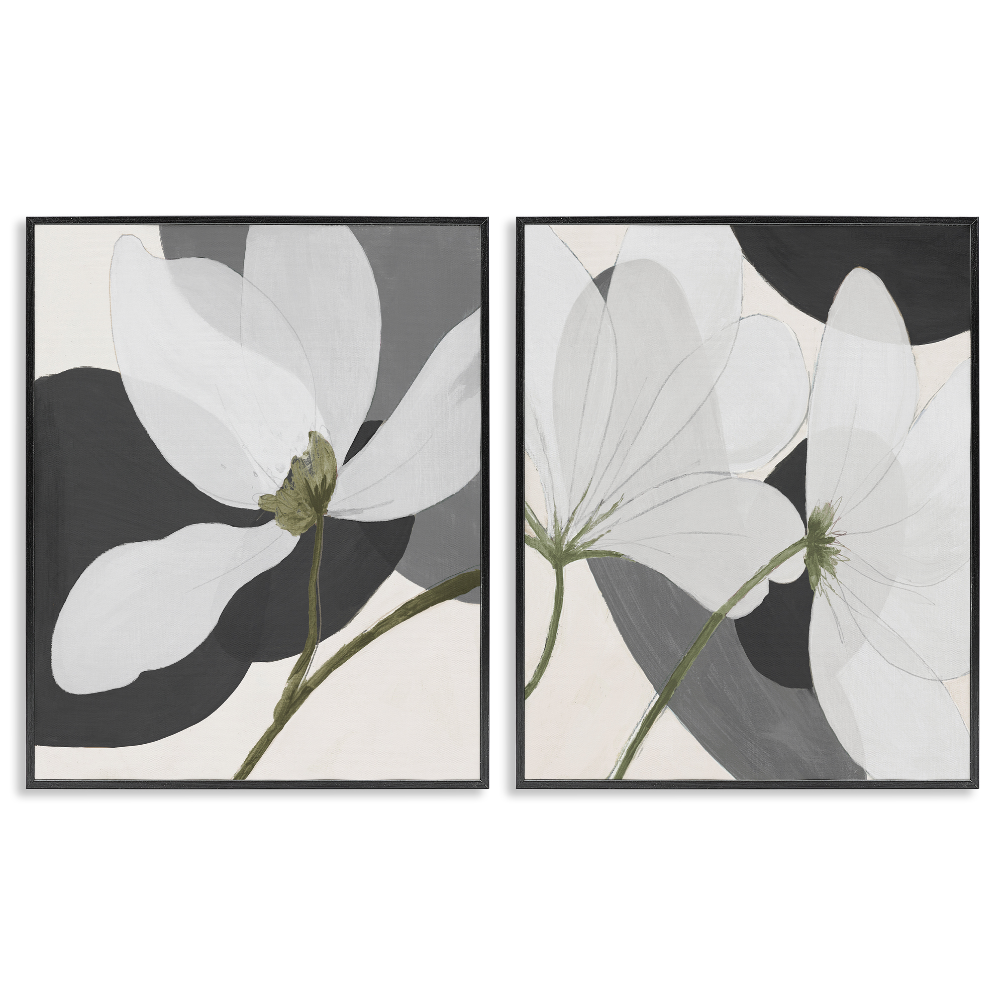 Stupell Industries Large White Petal Drawing Plants & Flowers Painting Black Framed Art Print Wall Art, 16 x 20, Set of 2