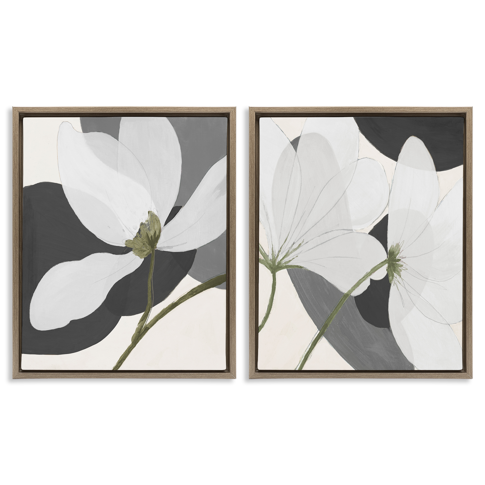 Stupell Industries Large White Petal Drawing Plants & Flowers Painting Brown Floater Framed Canvas Art Print Wall Art, 31 x 25, Set of 2