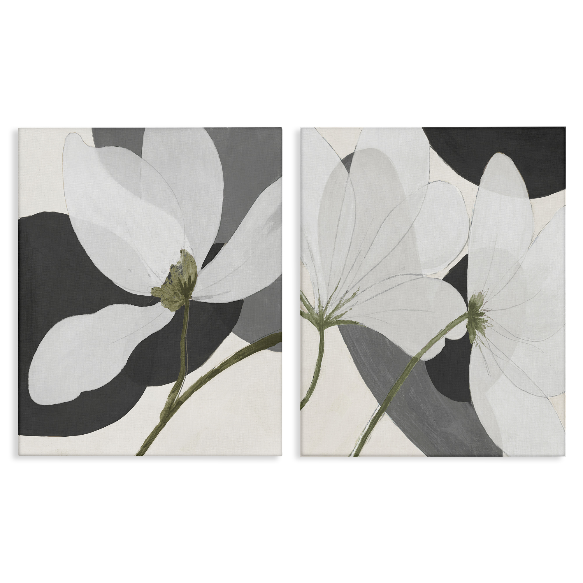 Stupell Industries Large White Petal Drawing Plants & Flowers Painting Wrapped Canvas Art Print Wall Art, 16 x 20, Set of 2