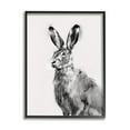 thumbnail image 1 of Stupell Industries Large Wild Hare Portrait Minimal Black Off-White Illustration, 11 x 14, Design by Emma Caroline, 1 of 7