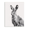 thumbnail image 1 of Stupell Industries Large Wild Hare Portrait Minimal Black Off-White Illustration, 13 x 19, Design by Emma Caroline, 1 of 6