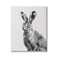 thumbnail image 1 of Stupell Industries Large Wild Hare Portrait Minimal Black Off-White Illustration, 30 x 40, Design by Emma Caroline, 1 of 6