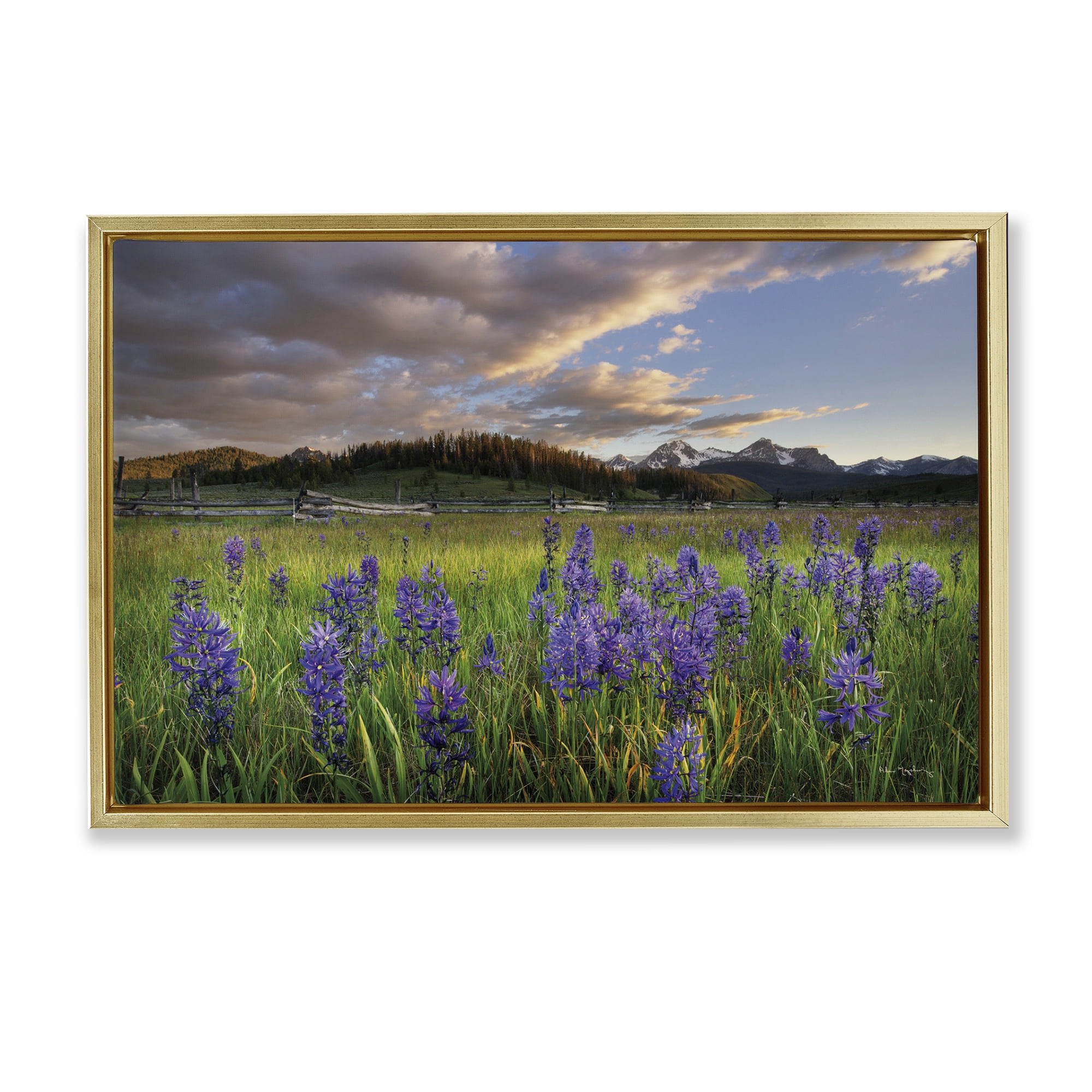 Stupell Industries Lavender Bloom Meadows Landscape & Nature Photography Gold Floater Framed Canvas Art Print Wall Art, 25 x 17