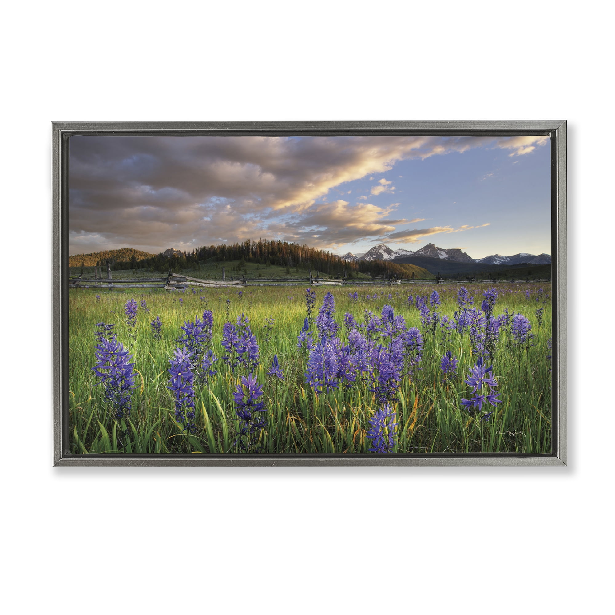 Stupell Industries Lavender Bloom Meadows Landscape & Nature Photography Gray Floater Framed Canvas Art Print Wall Art, 25 x 17