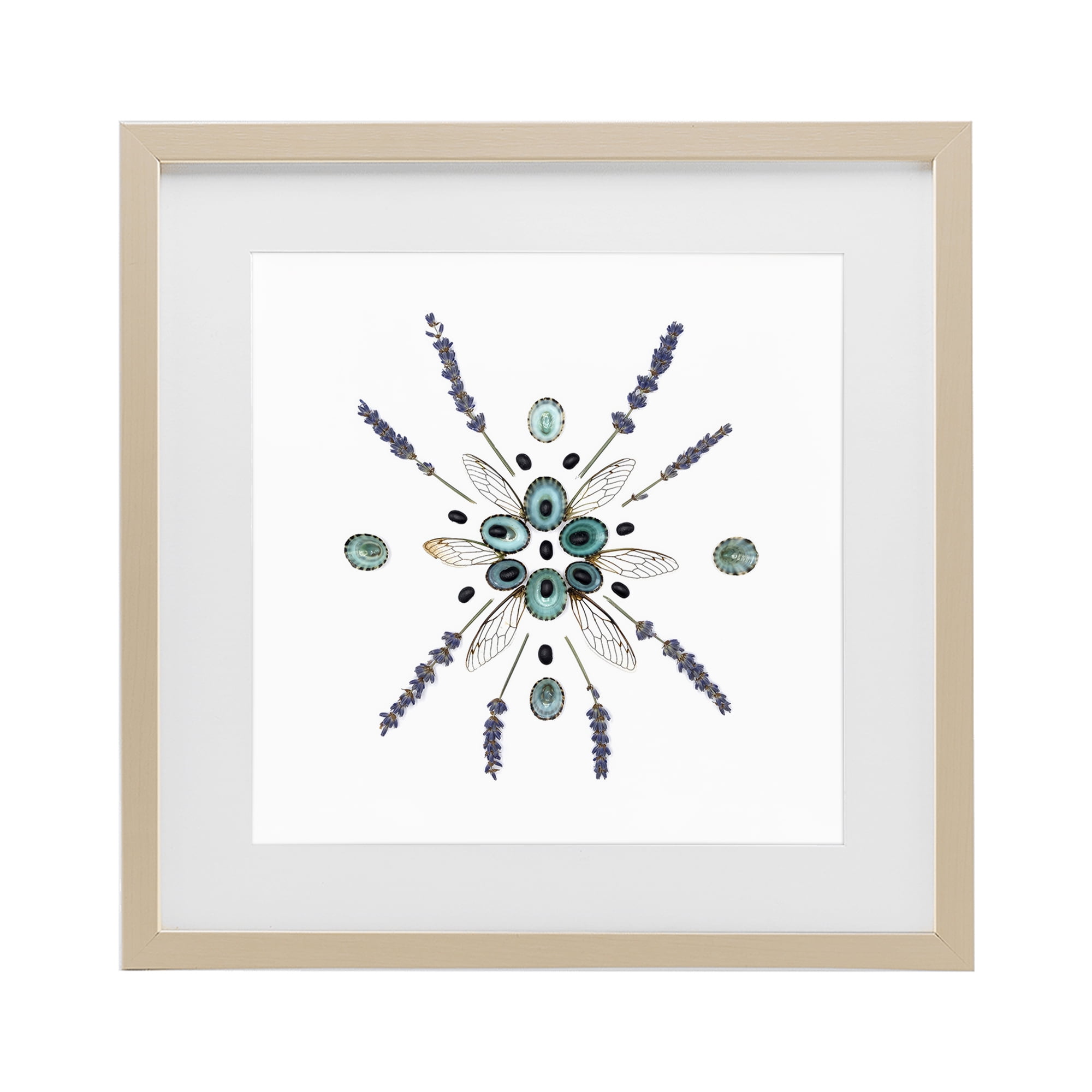 Stupell Industries Lavender & Delicate Wings Birch Framed Print Under Glass, design by Beth Adoette