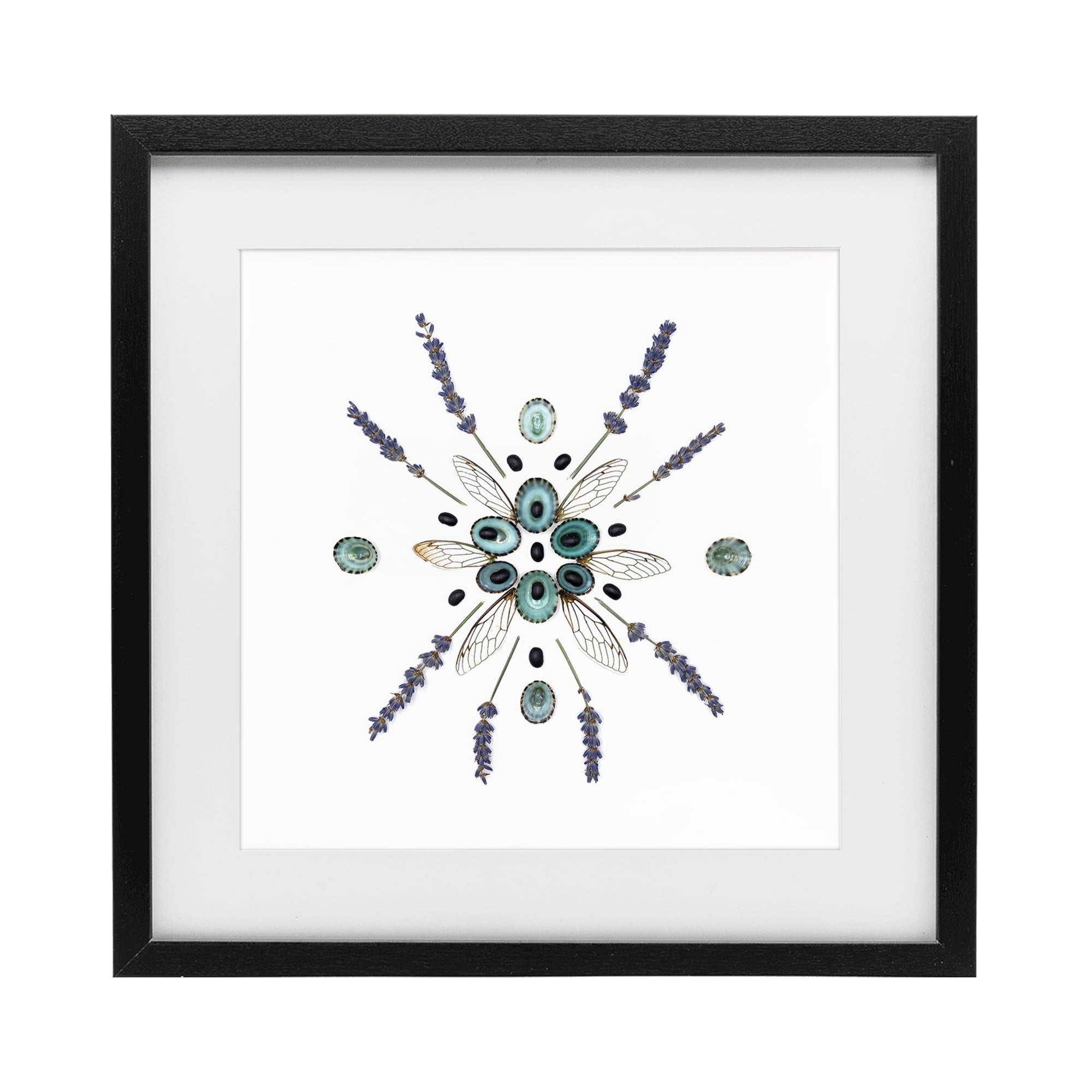 Stupell Industries Lavender & Delicate Wings Black Framed Print Under Glass, design by Beth Adoette