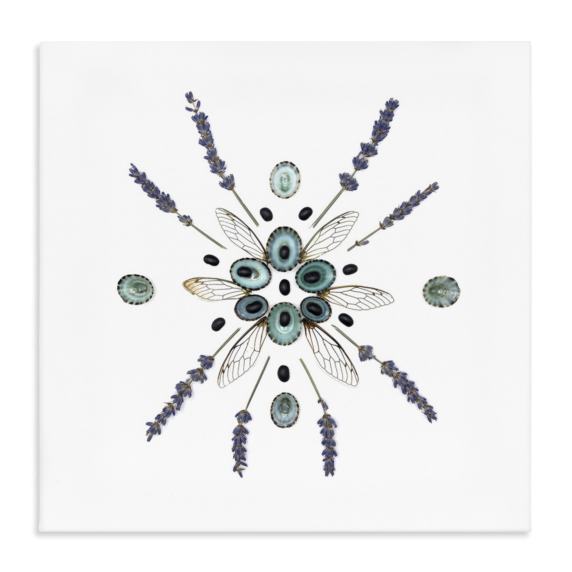 Stupell Industries Lavender & Delicate Wings Canvas Wall Art, design by Beth Adoette