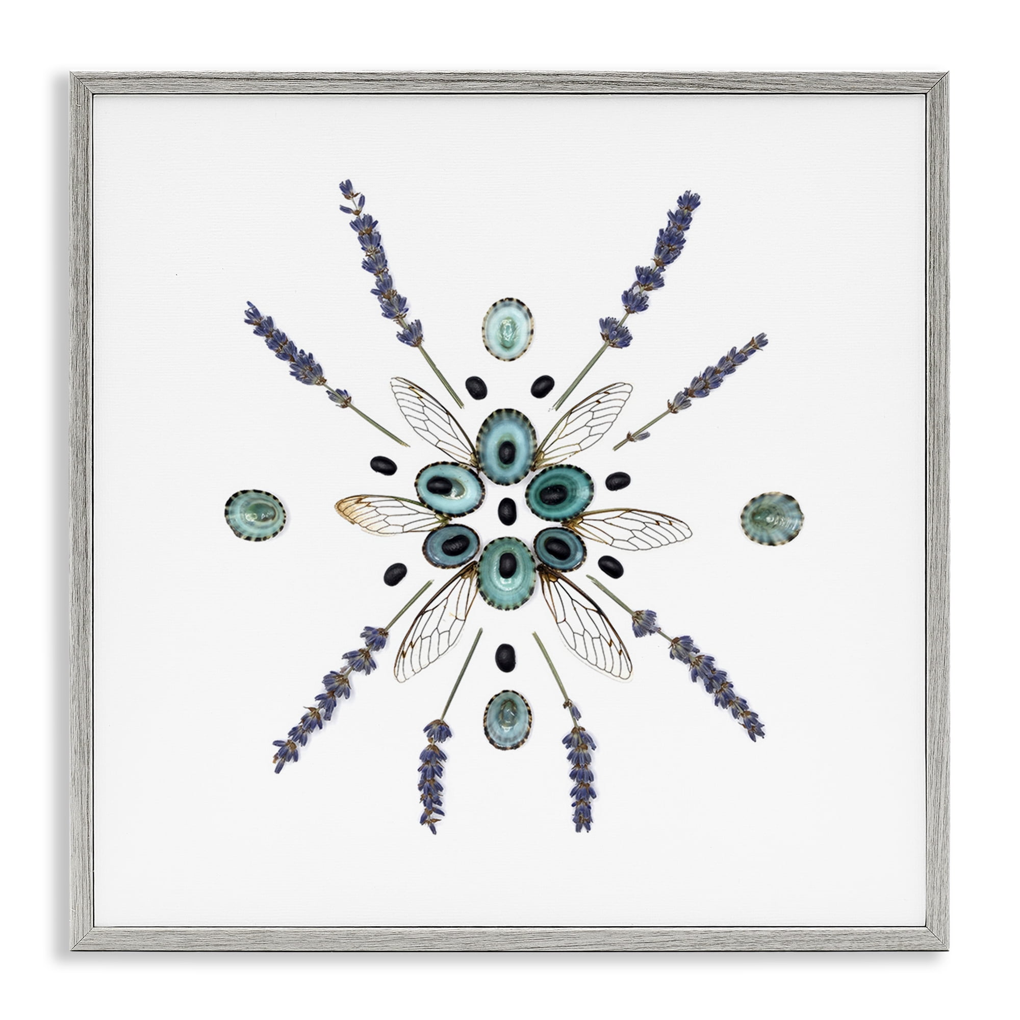 Stupell Industries Lavender & Delicate Wings Gray Framed Giclee Art, design by Beth Adoette