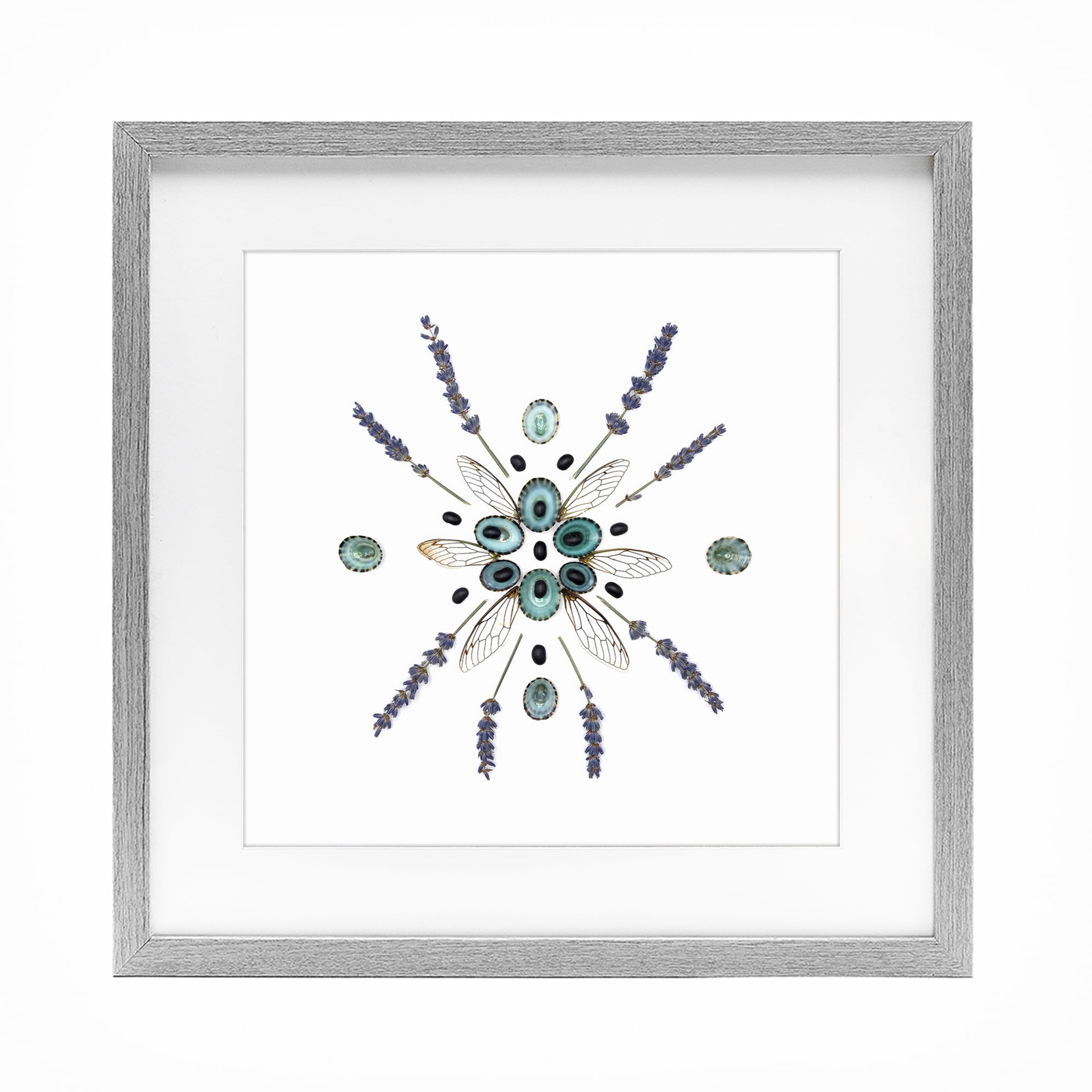 Stupell Industries Lavender & Delicate Wings Gray Framed Print Under Glass, design by Beth Adoette