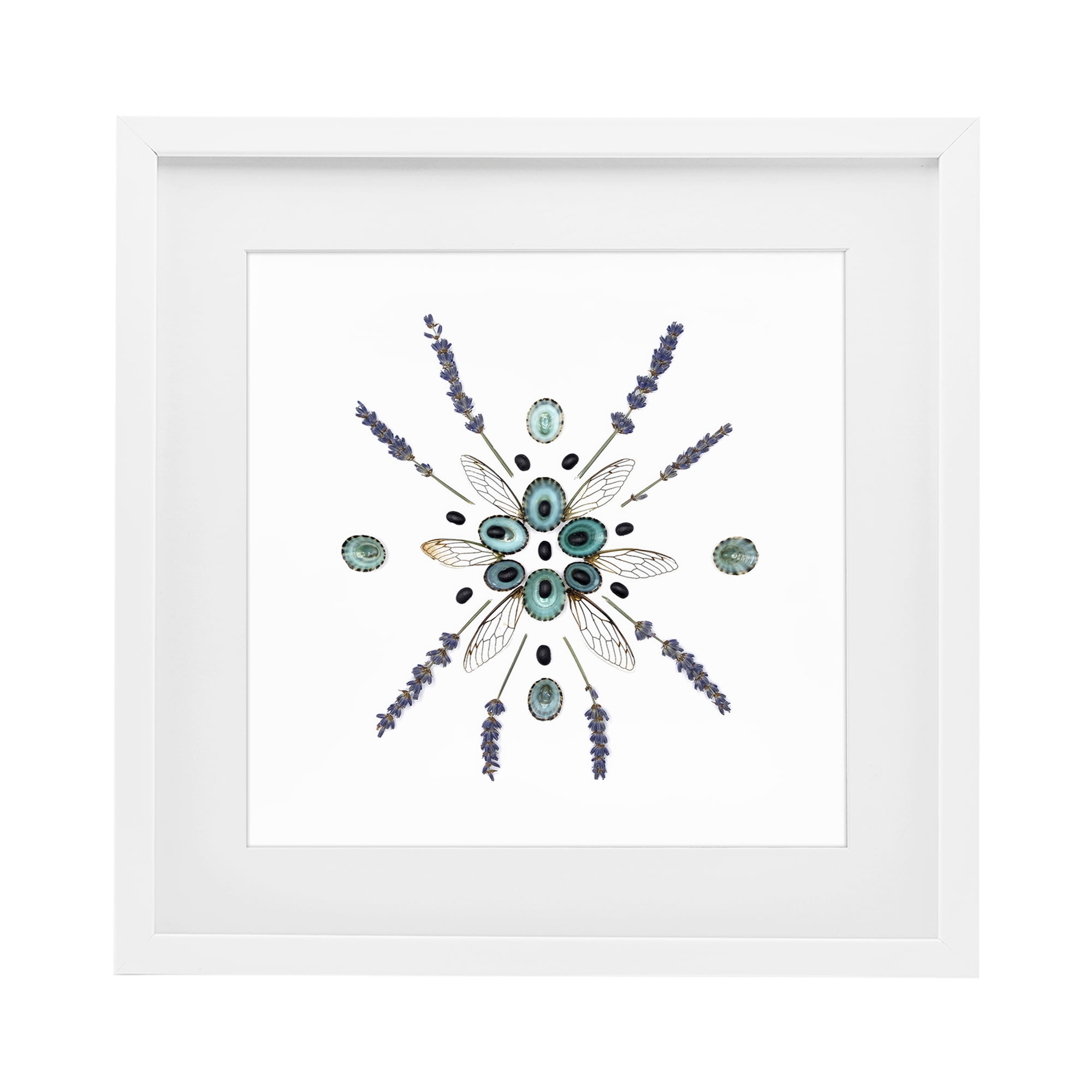 Stupell Industries Lavender & Delicate Wings White Framed Print Under Glass, design by Beth Adoette
