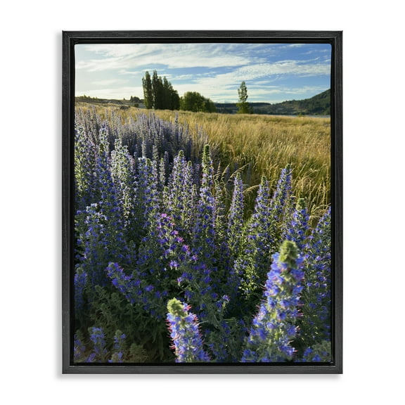 Stupell Industries Lavender Fields Landscape Landscape Photography Black Floater Framed Art Print Wall Art, 17 x 21