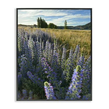 Stupell Industries Lavender Fields Landscape Landscape Photography Black Framed Art Print Wall Art, 11 x 14