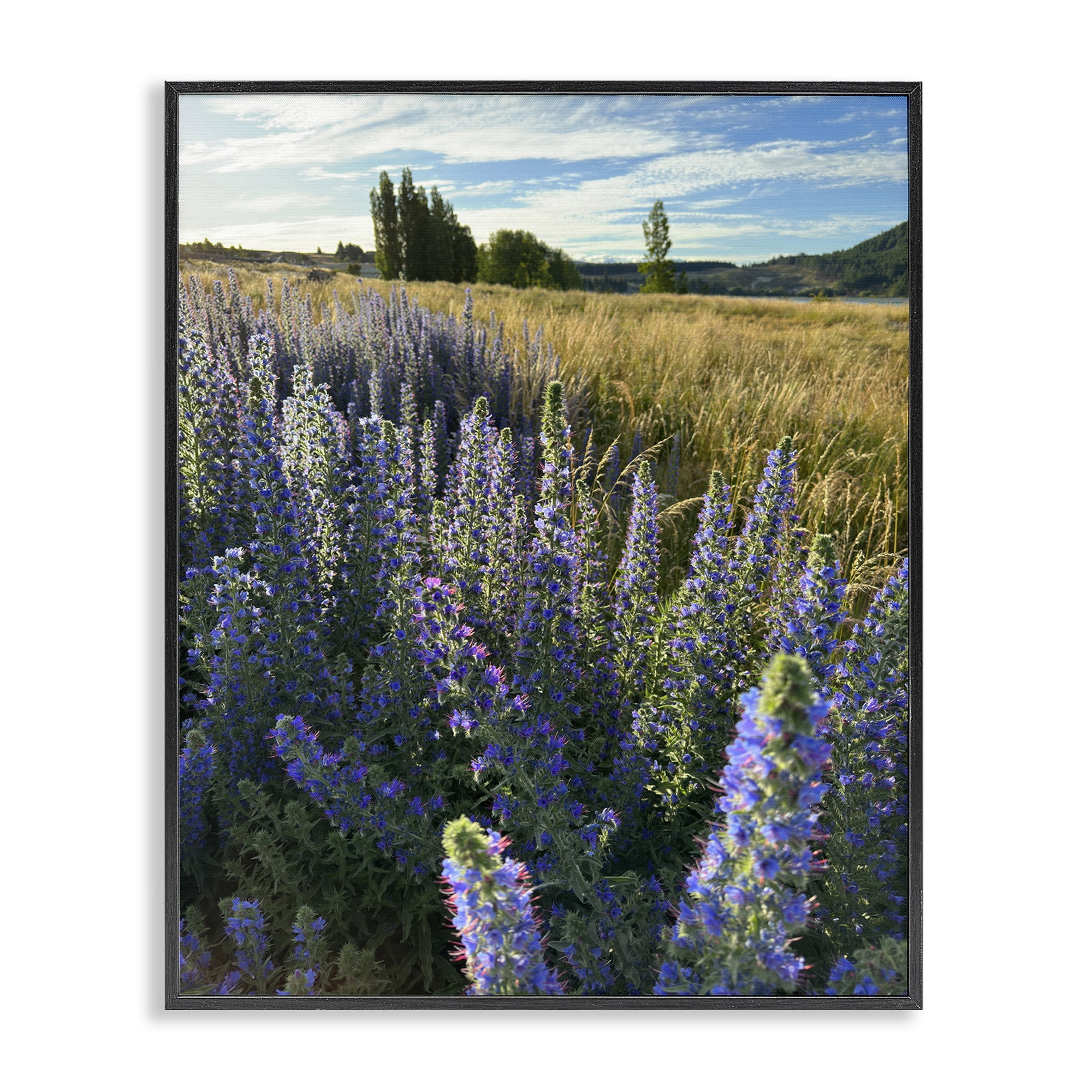 Stupell Industries Lavender Fields Landscape Landscape Photography Black Framed Art Print Wall Art, 16 x 20