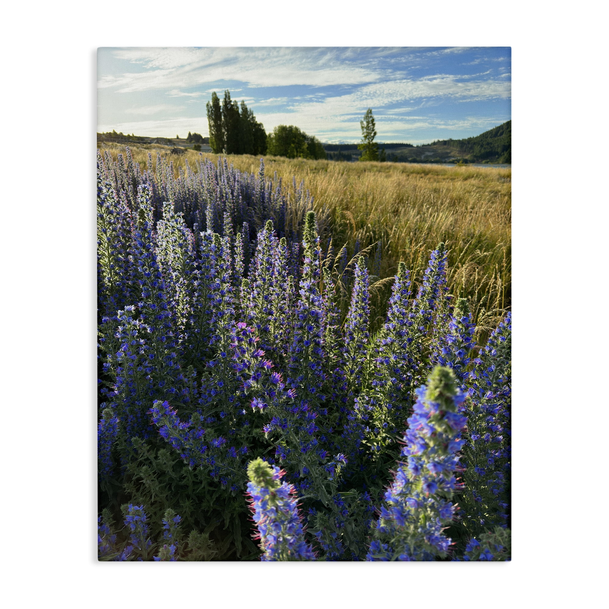 Stupell Industries Lavender Fields Landscape Landscape Photography Gallery Wrapped Canvas Art Print Wall Art, 24 x 30