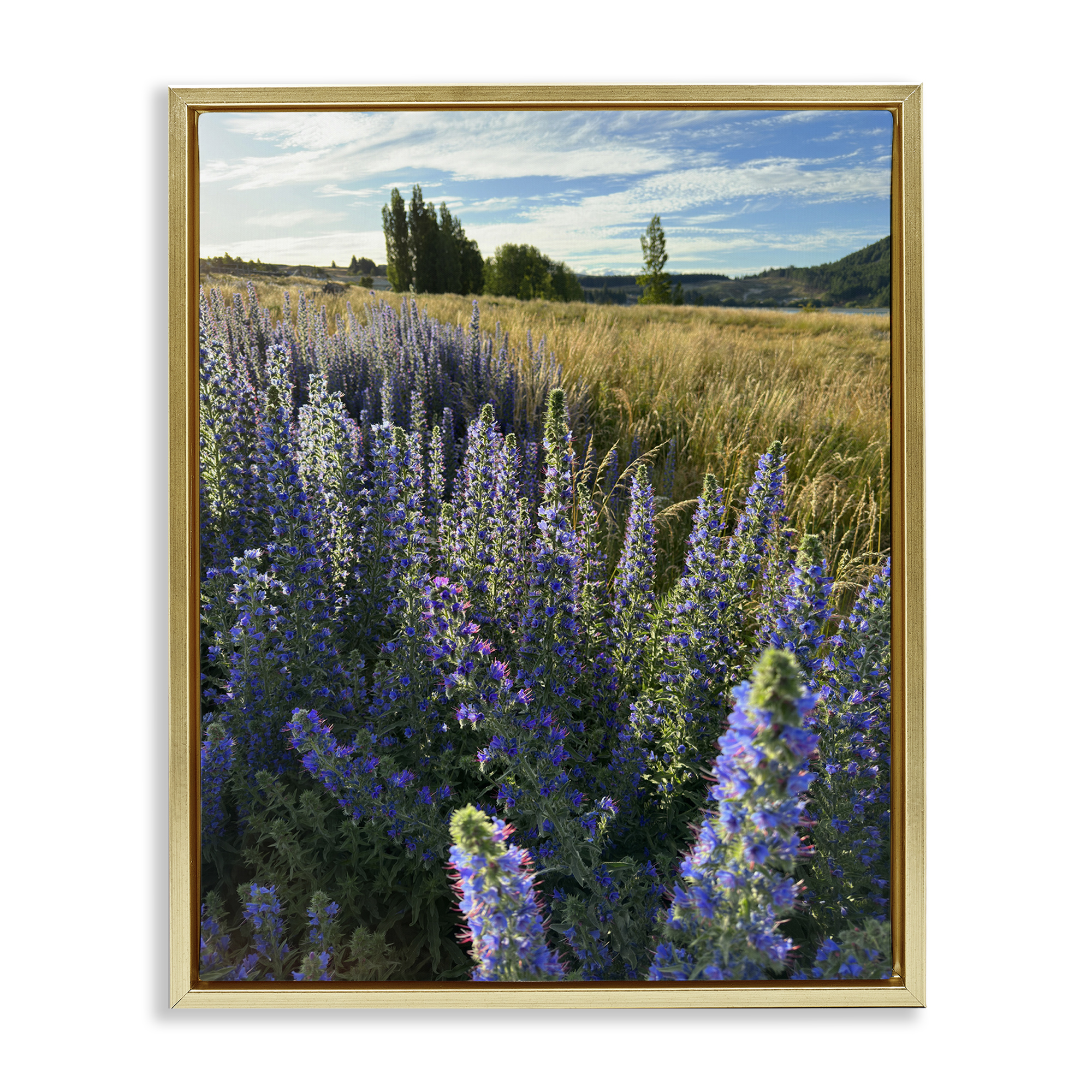 Stupell Industries Lavender Fields Landscape Landscape Photography Gold Floater Framed Art Print Wall Art, 25 x 31
