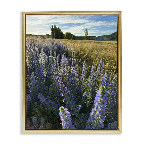 Stupell Industries Lavender Fields Landscape Landscape Photography Gold Floater Framed Art Print Wall Art, 25 x 31