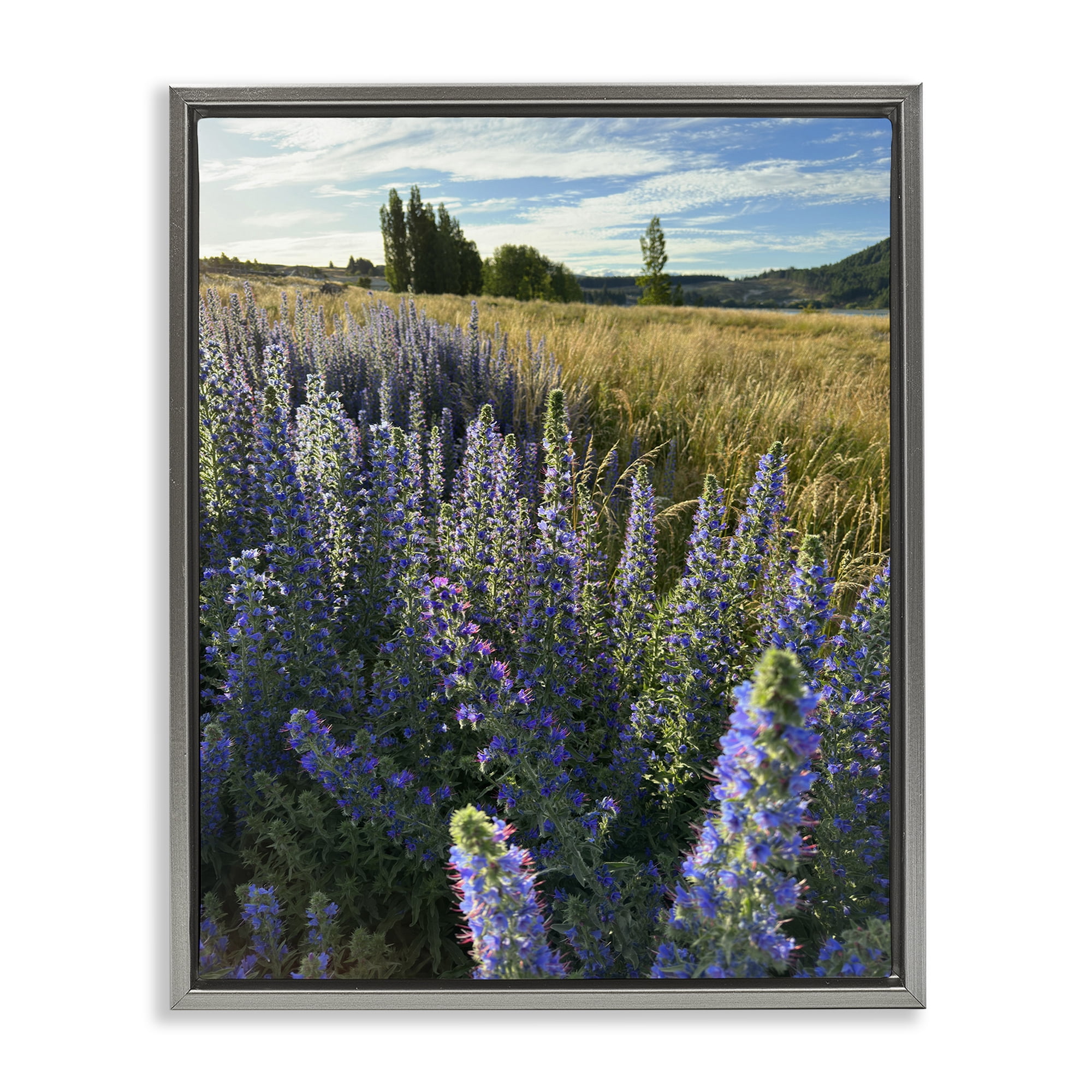 Stupell Industries Lavender Fields Landscape Landscape Photography Gray Floater Framed Art Print Wall Art, 25 x 31