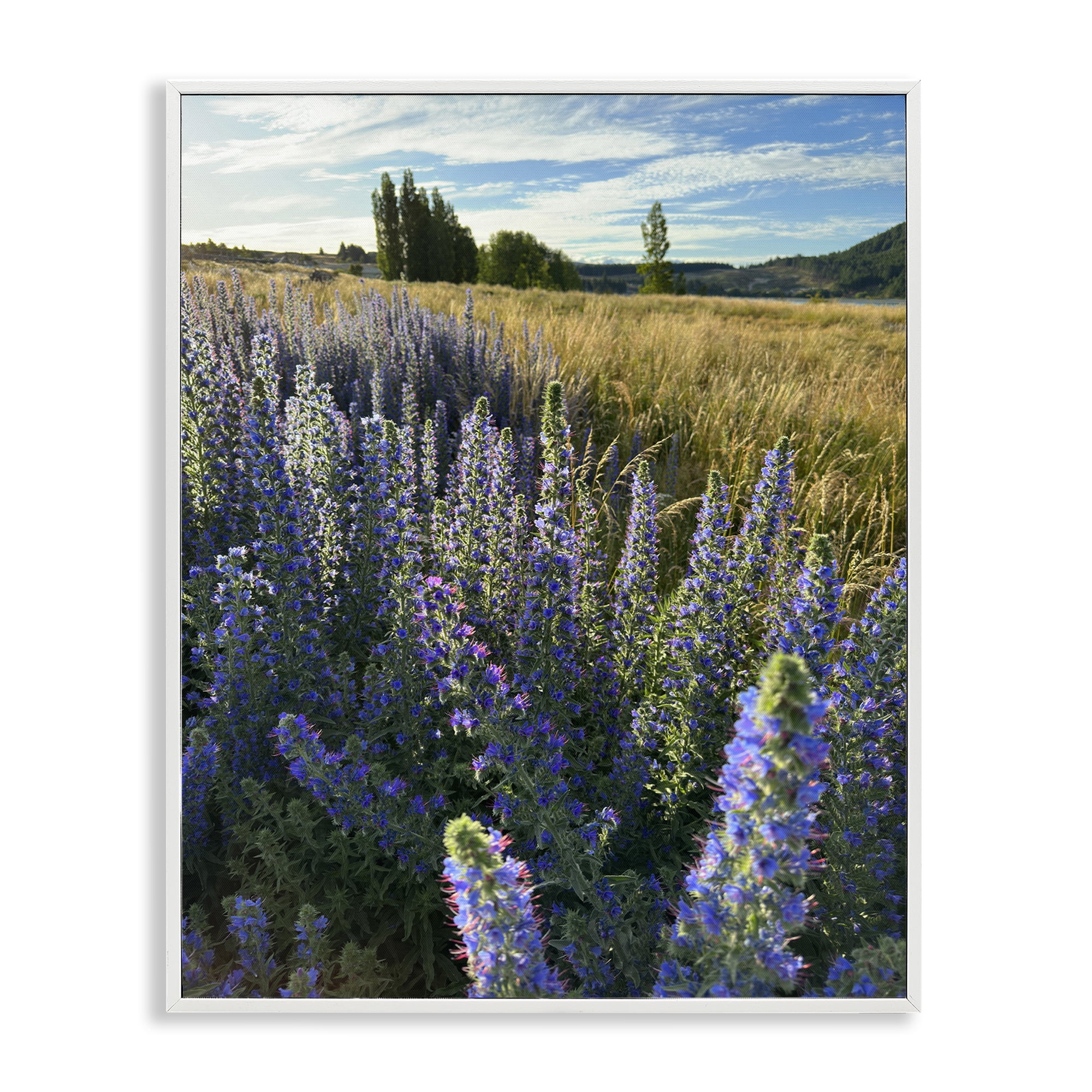 Stupell Industries Lavender Fields Landscape Landscape Photography White Framed Art Print Wall Art, 24 x 30