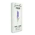 thumbnail image 1 of Stupell Industries Lavender Fields Purple Farm Florals Gift Shop Sign, 10 x 24, Designed by Kyra Brown, 1 of 6