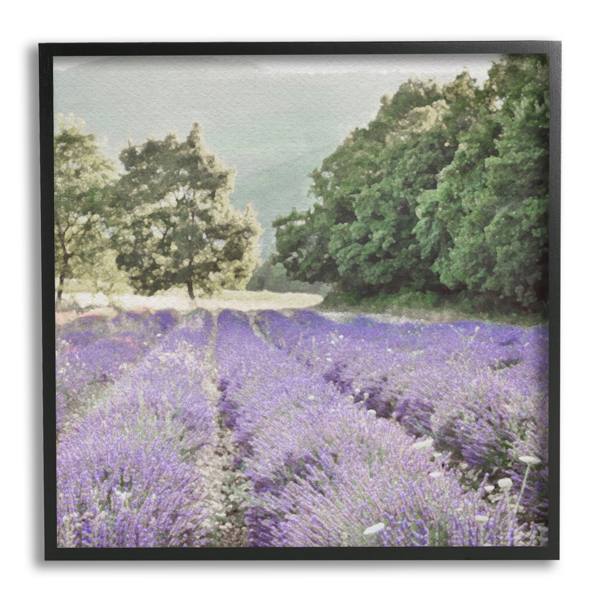 Stupell Industries Lavender Meadow Fields Nature Painting Black Framed Art Print Wall Art, 24 x 24