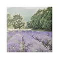 thumbnail image 1 of Stupell Industries Lavender Meadow Fields Nature Painting Gallery Wrapped Canvas Print Wall Art, 24 x 24, 1 of 8
