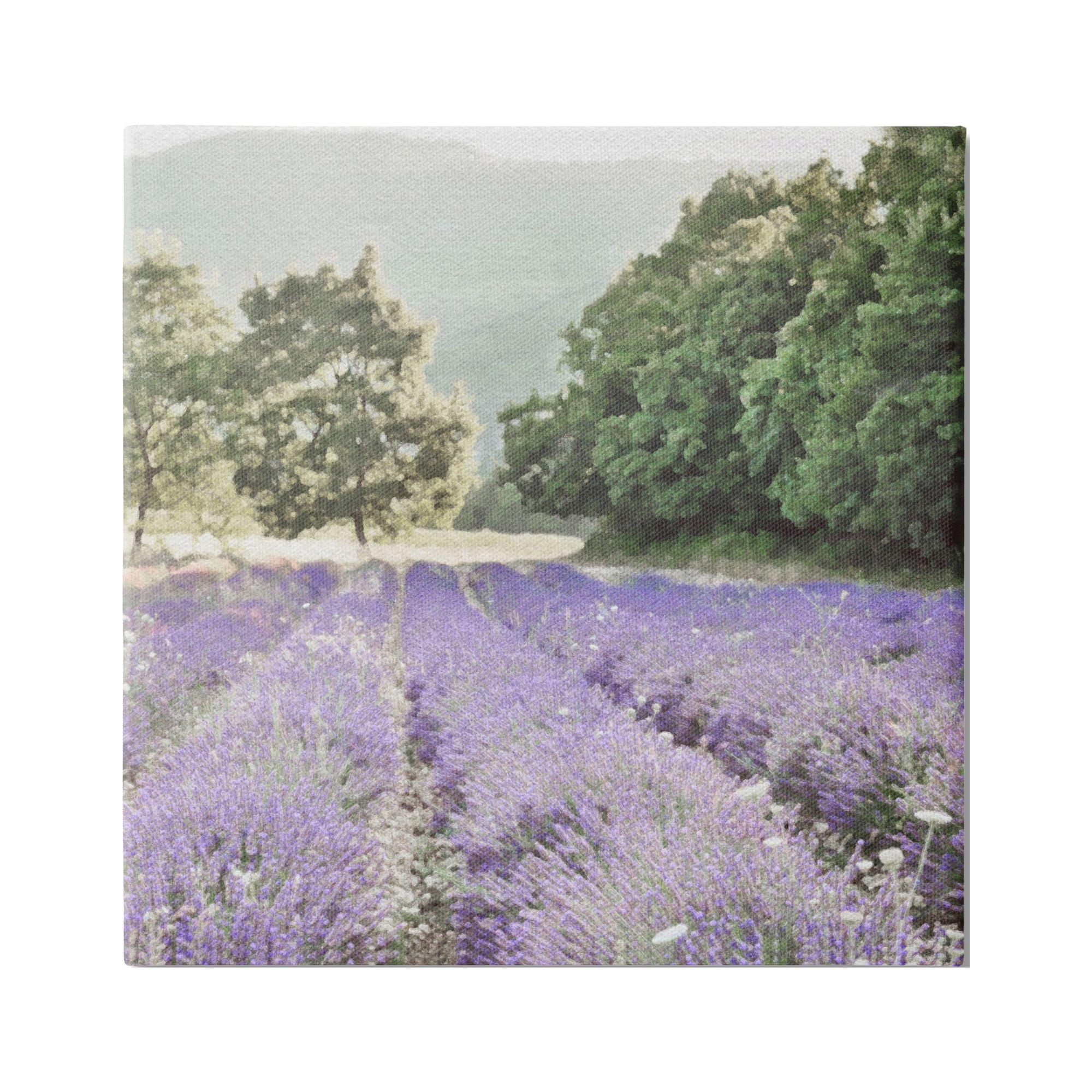 Stupell Industries Lavender Meadow Fields Nature Painting Gallery Wrapped Canvas Print Wall Art, 30 x 30