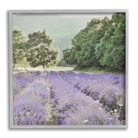 Stupell Industries Lavender Meadow Fields Nature Painting Gray Framed Art Print Wall Art, 12 x 12