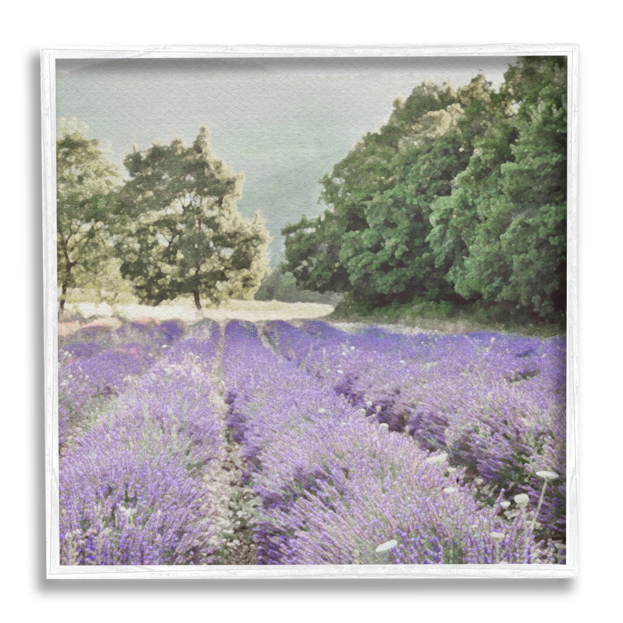 Stupell Industries Lavender Meadow Fields Nature Painting White Framed Art Print Wall Art, 17 x 17