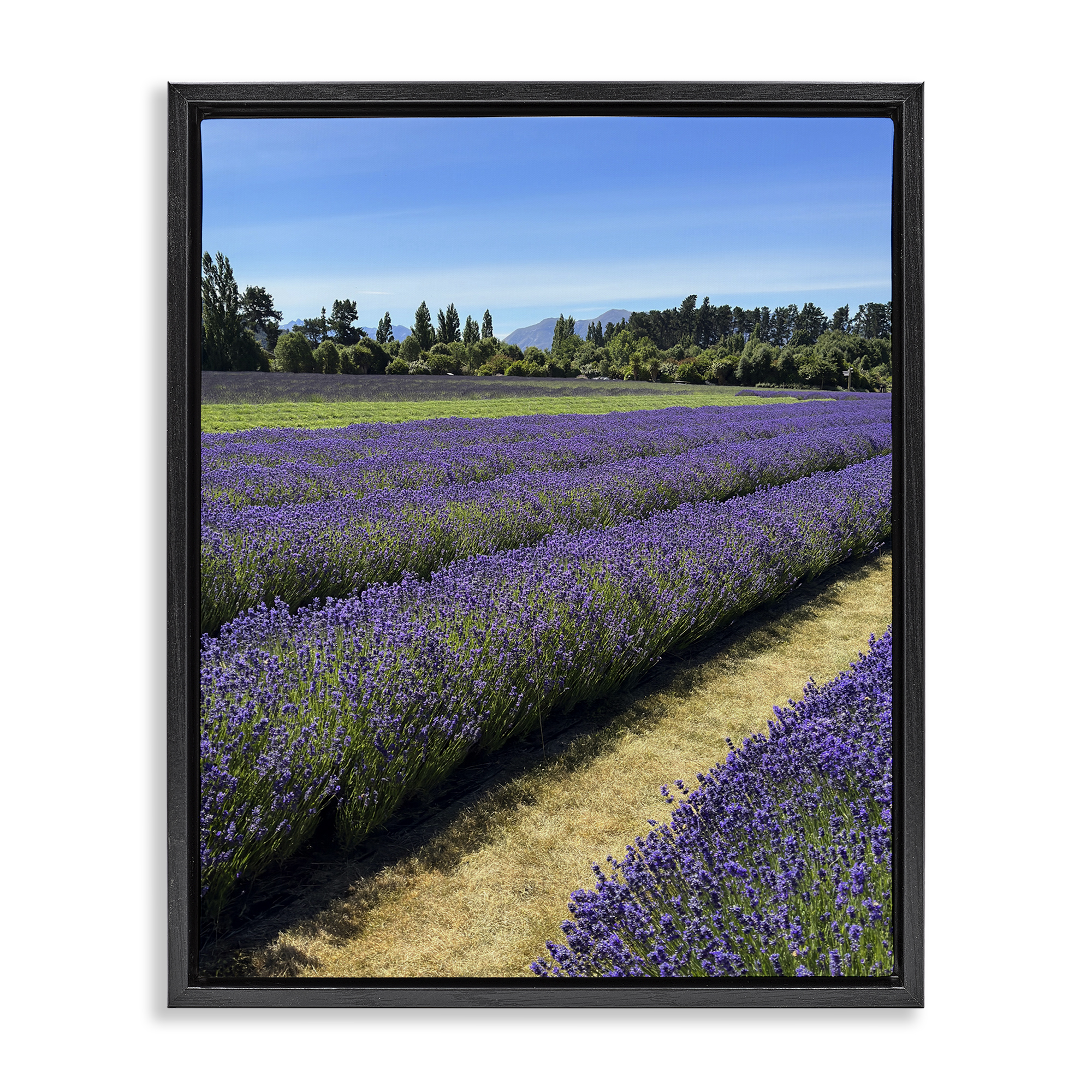 Stupell Industries Lavender Path Landscape Landscape Photography Black Floater Framed Art Print Wall Art, 17 x 21